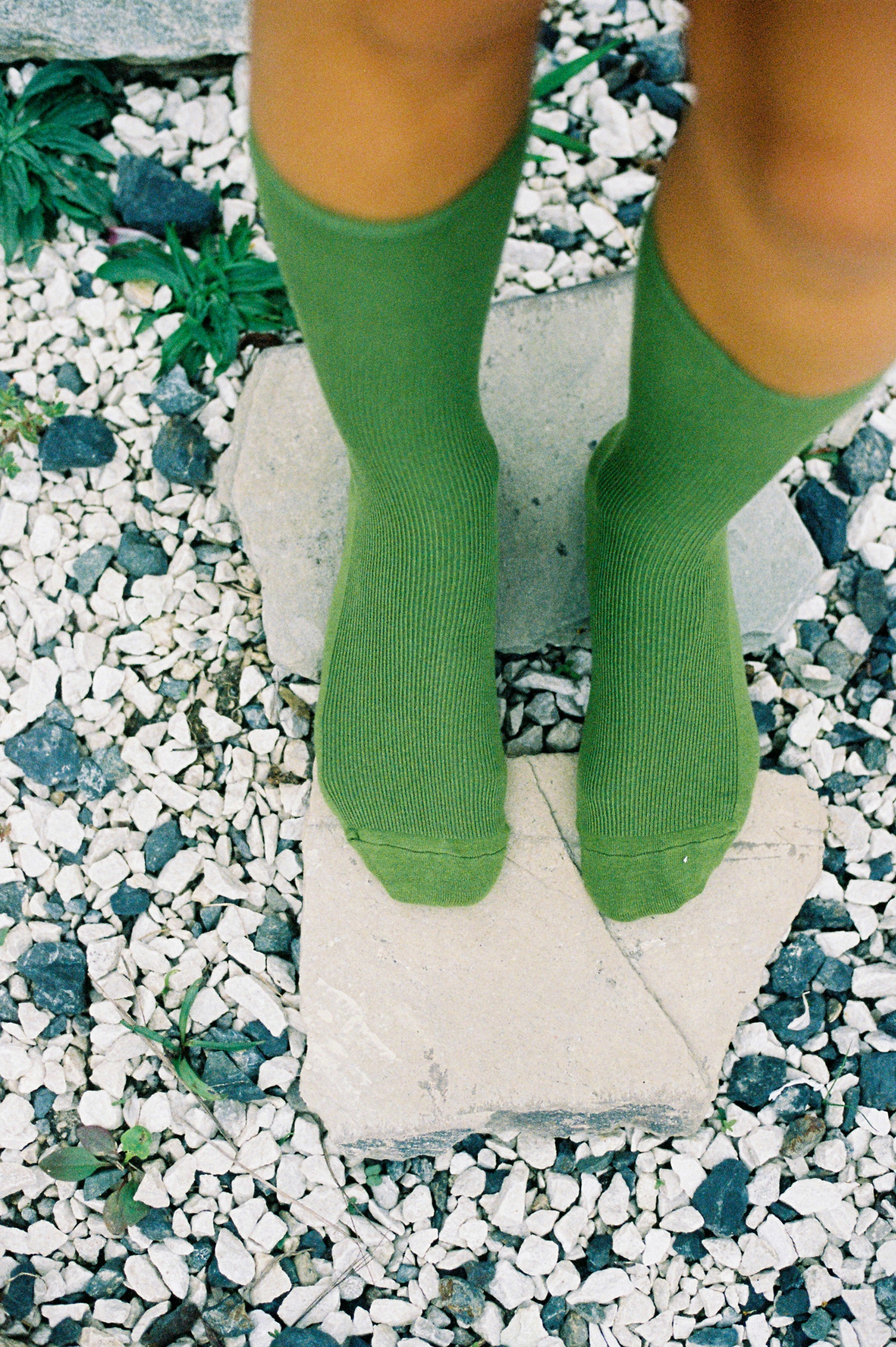 Common Garden - Fine Ribbed Cotton Socks - Olive Green