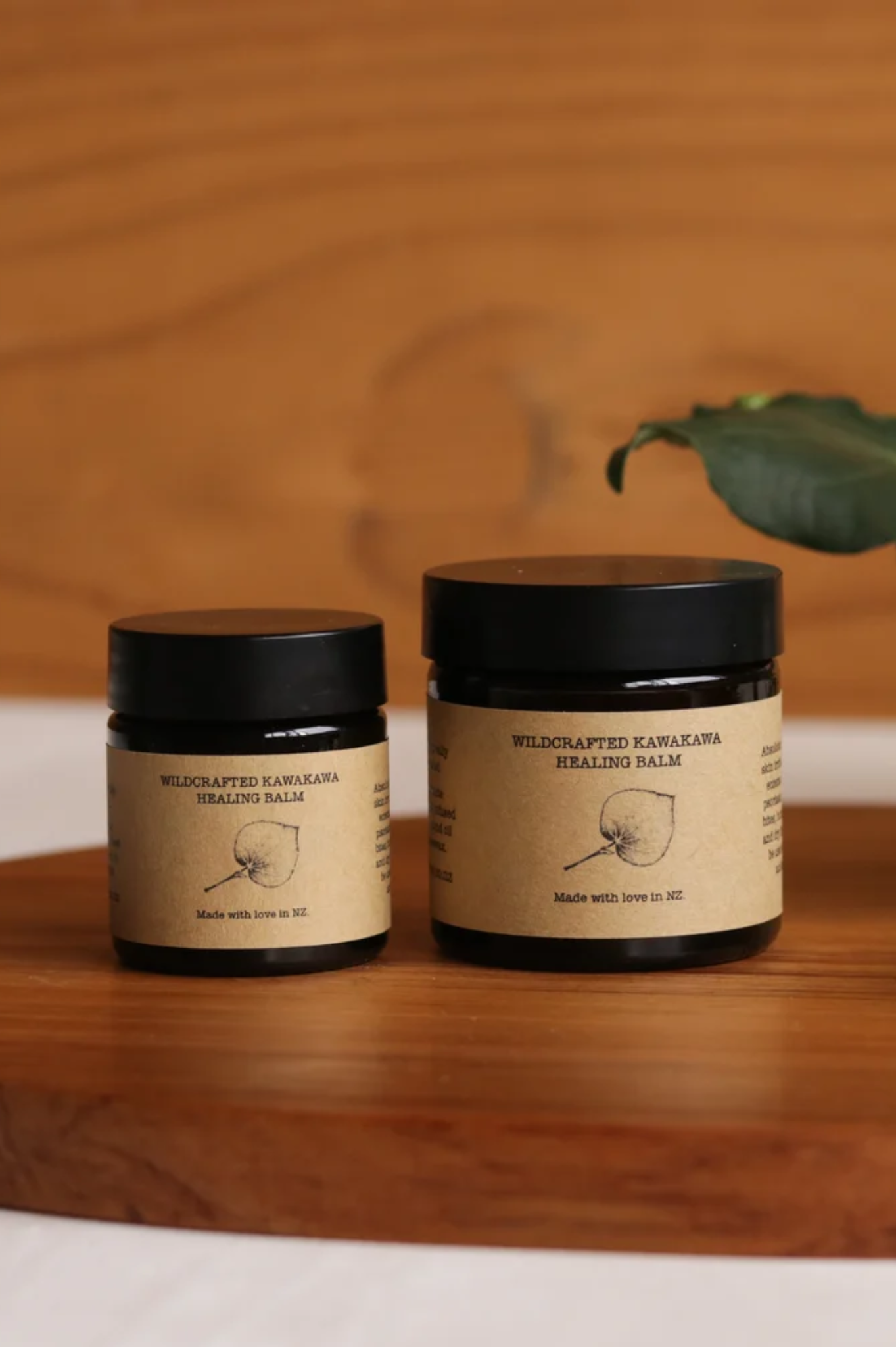Wild Love - Healing Kawakawa Balm