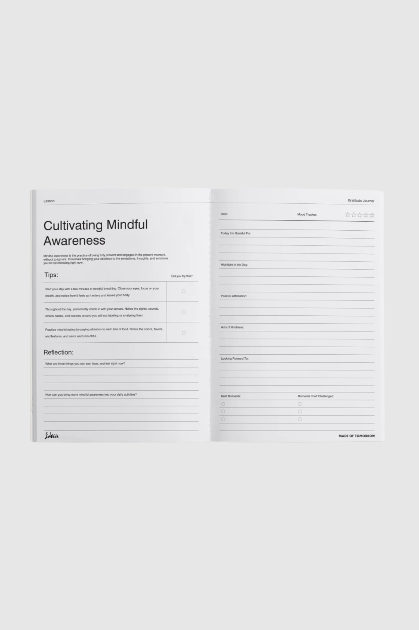 Made of Tomorrow - Sidekick Journal - Gratitude Journal