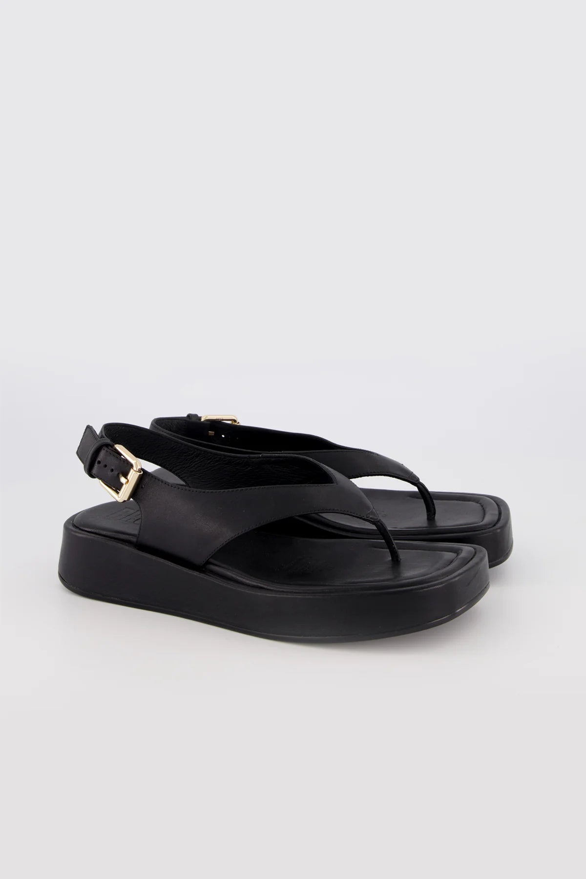 Bronwyn - Jocelyn - Black