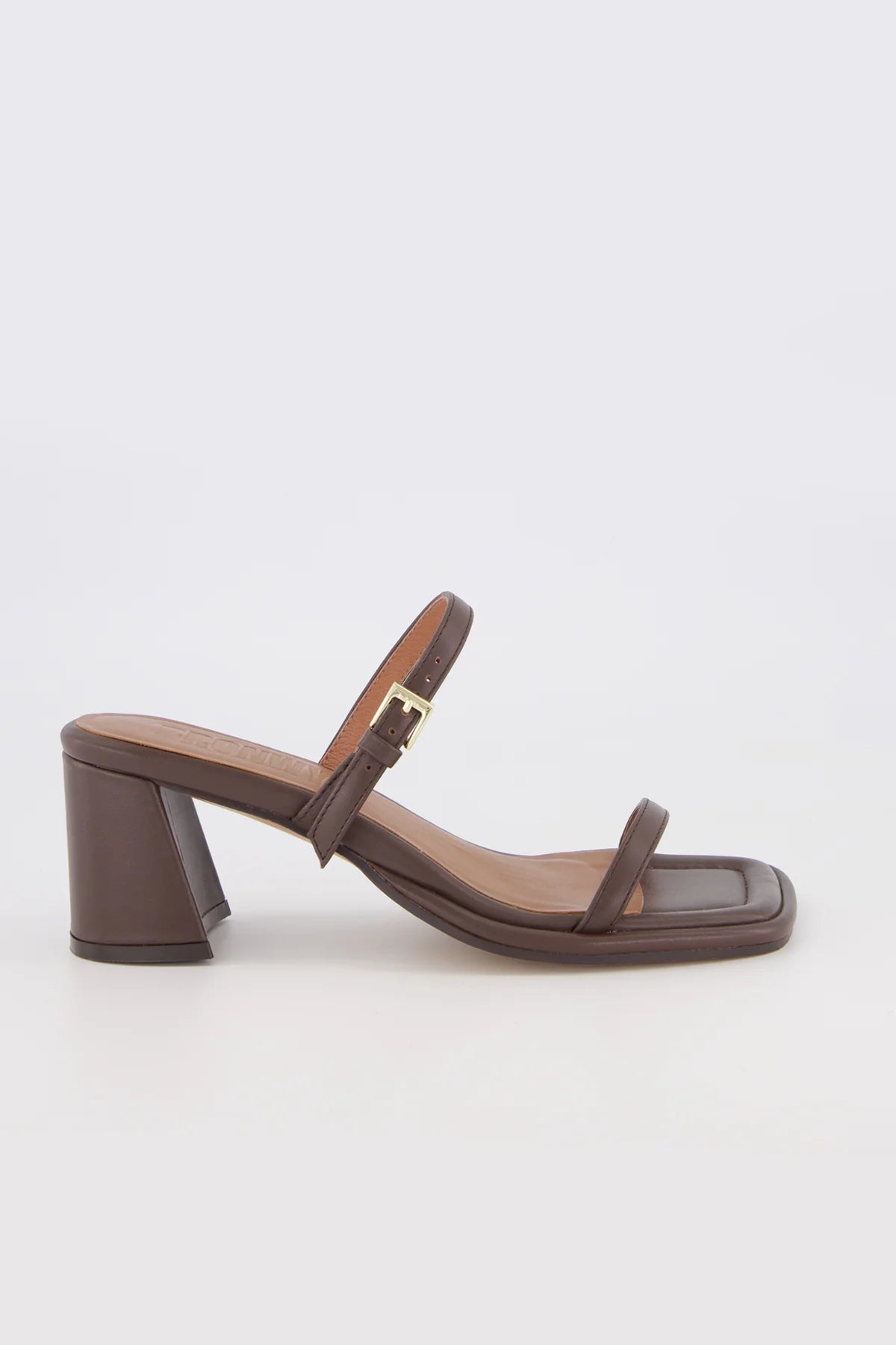 Bronwyn - Lucia - Chocolate