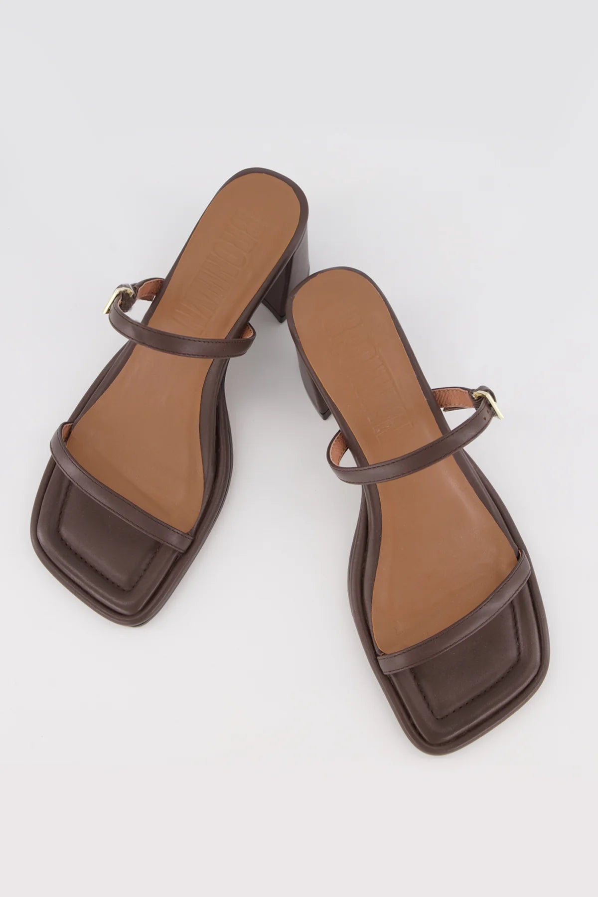 Bronwyn - Lucia - Chocolate