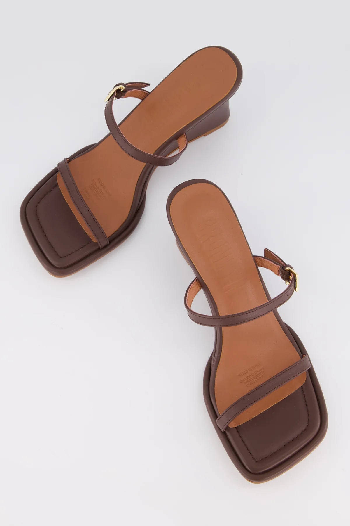 Bronwyn - Daria - Chocolate