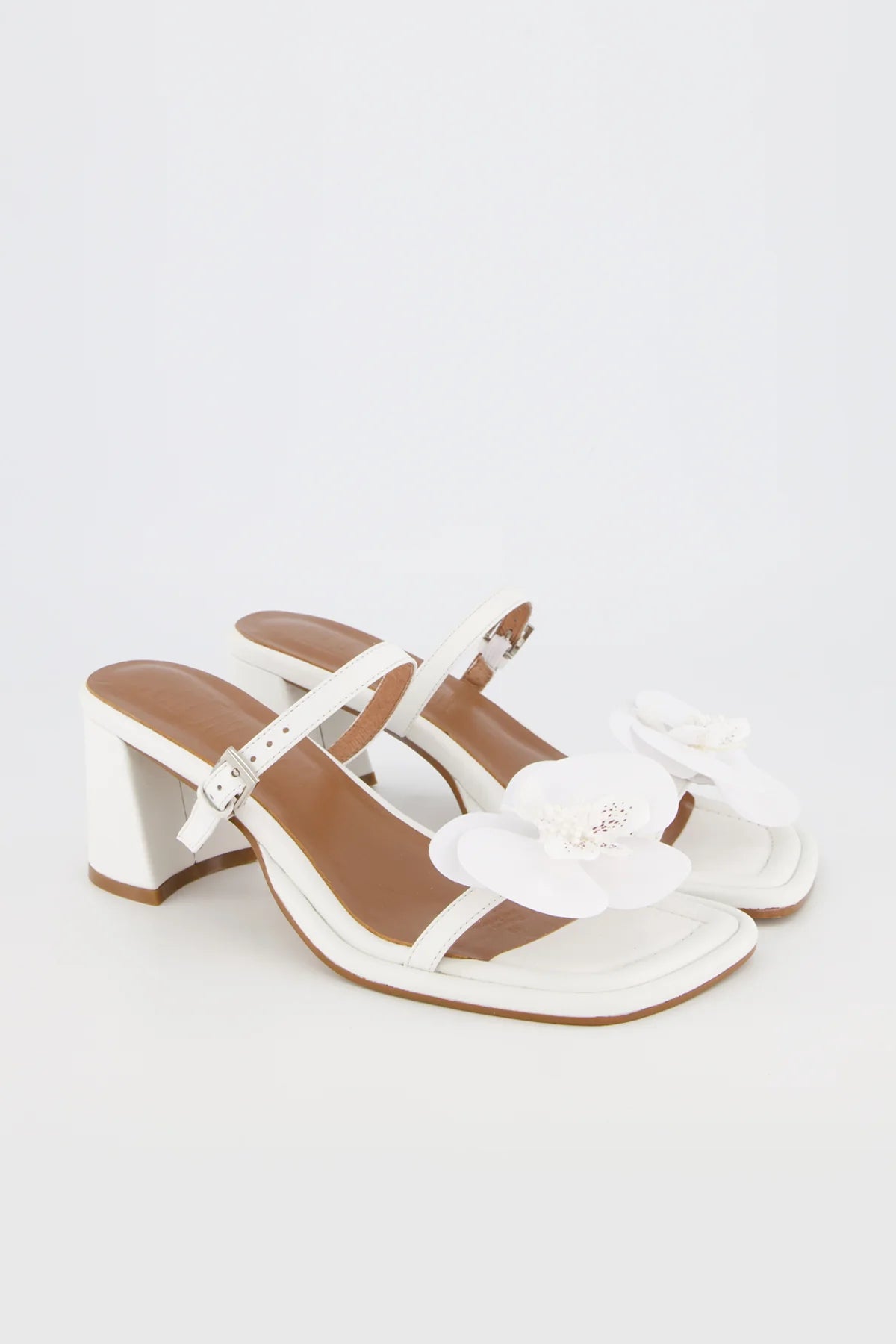 Bronwyn - Lucia - White Orchid