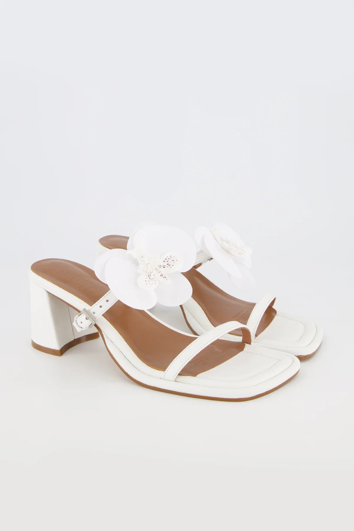 Bronwyn - Lucia - White Orchid