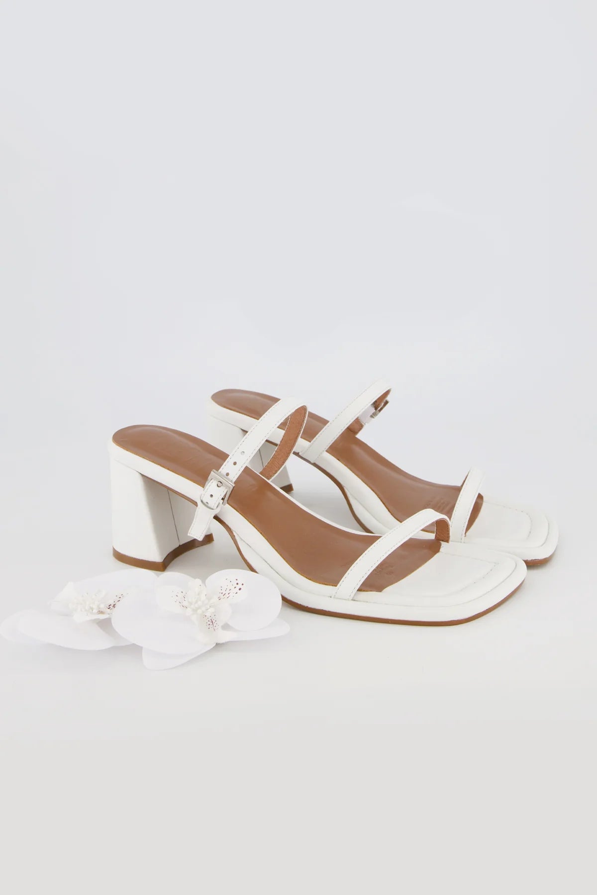 Bronwyn - Lucia - White Orchid