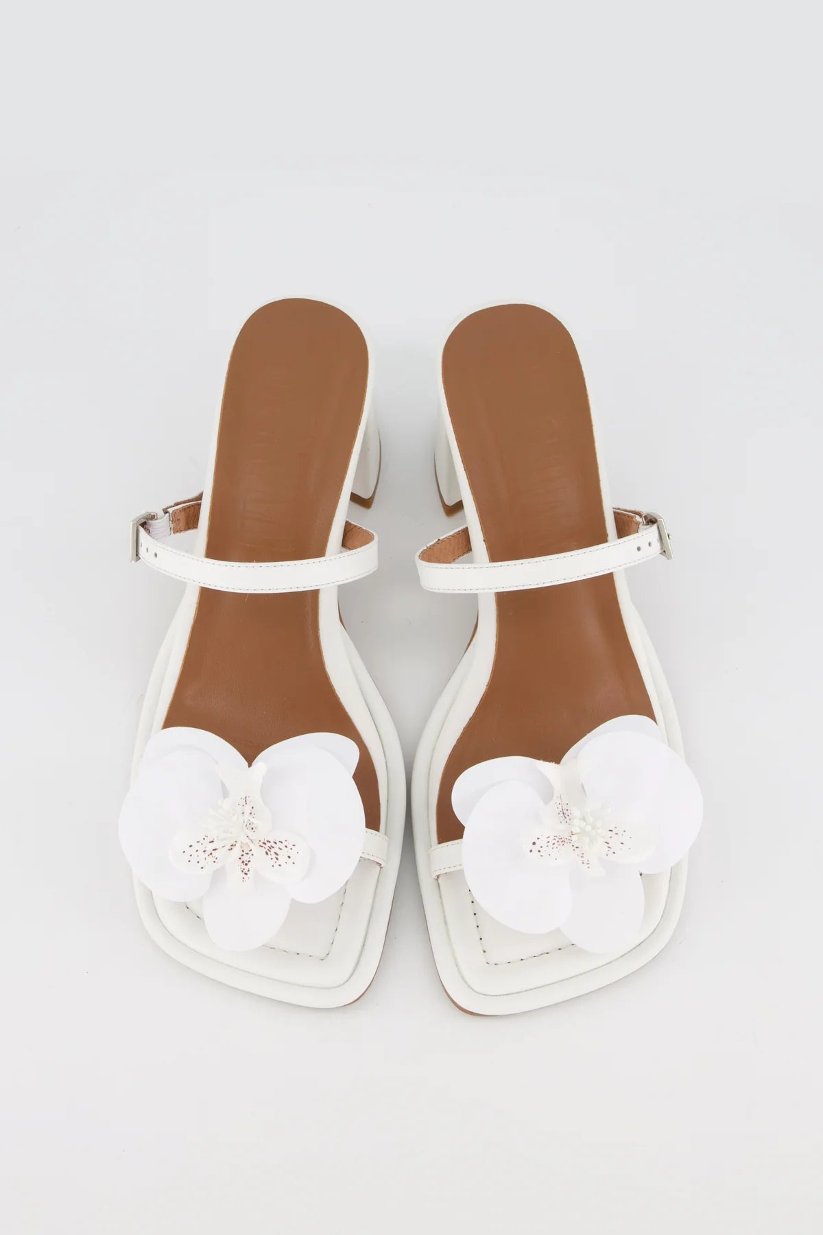 Bronwyn - Lucia - White Orchid