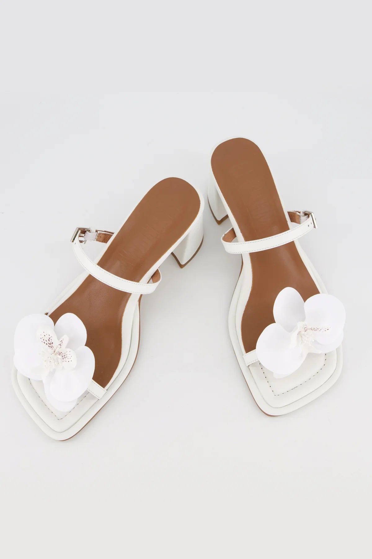 Bronwyn - Lucia - White Orchid