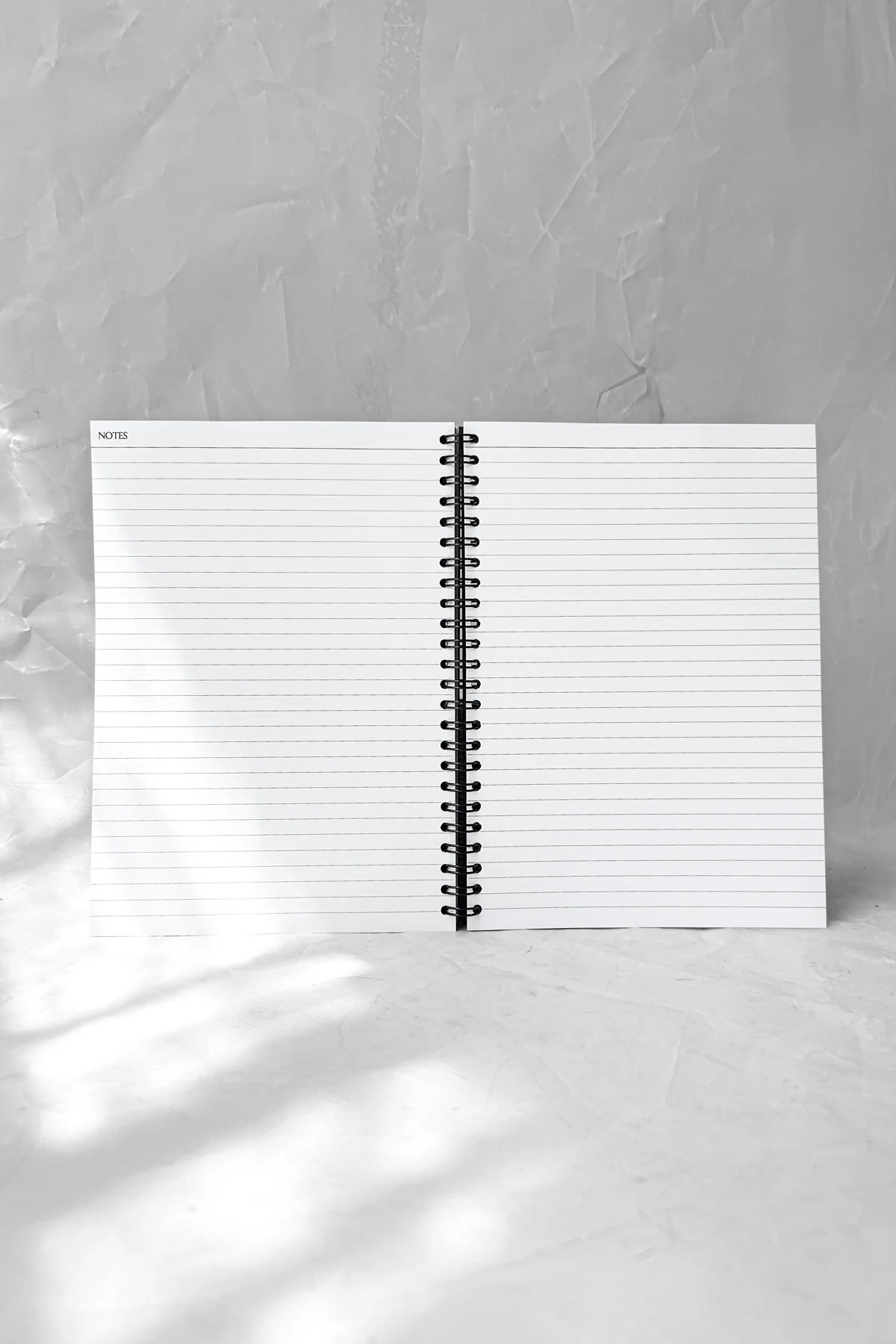 Crushes - 2026 Weekly Diary - Blue