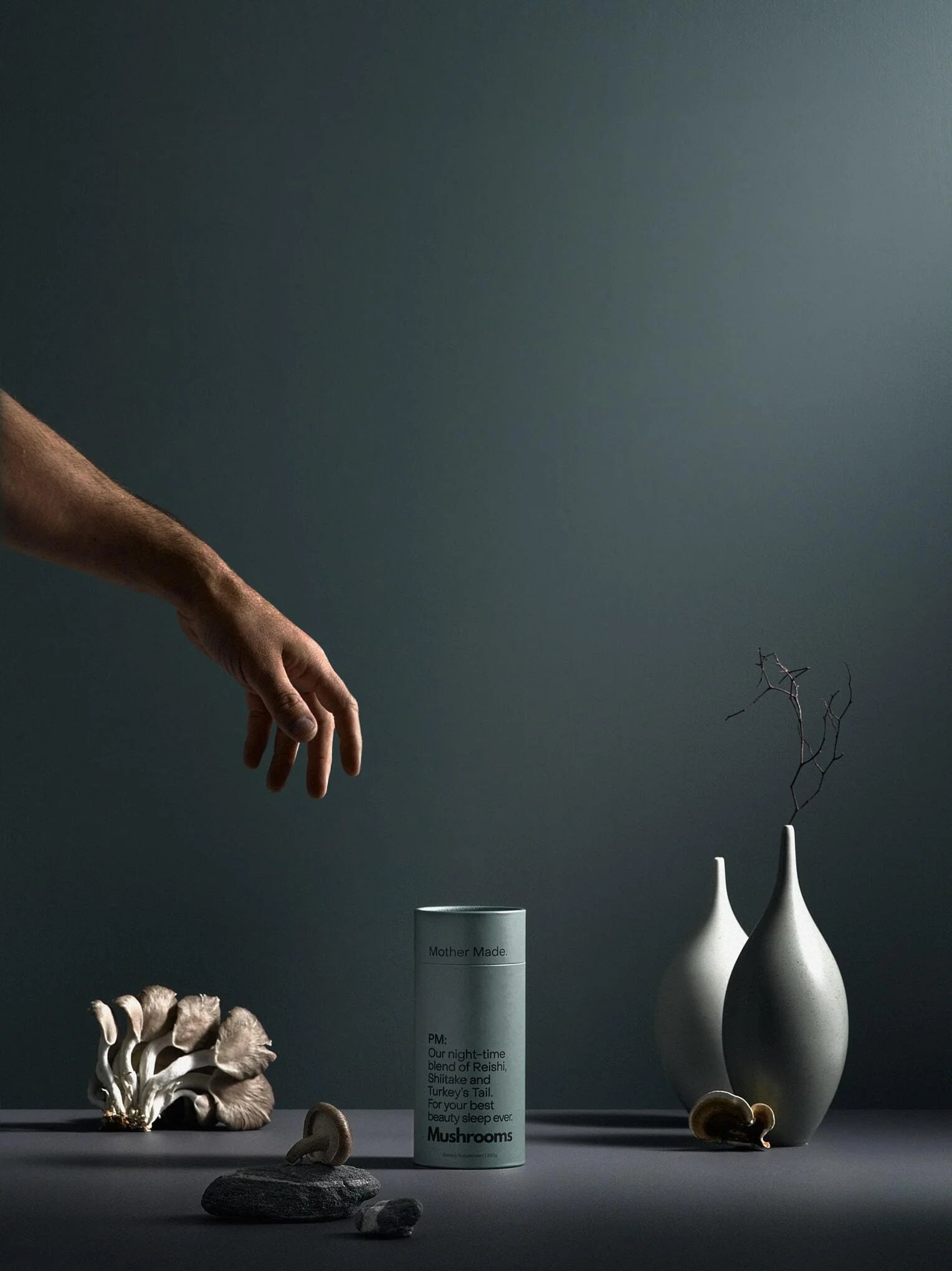 Mother Made - PM: Night Mushroom Supplement 220g