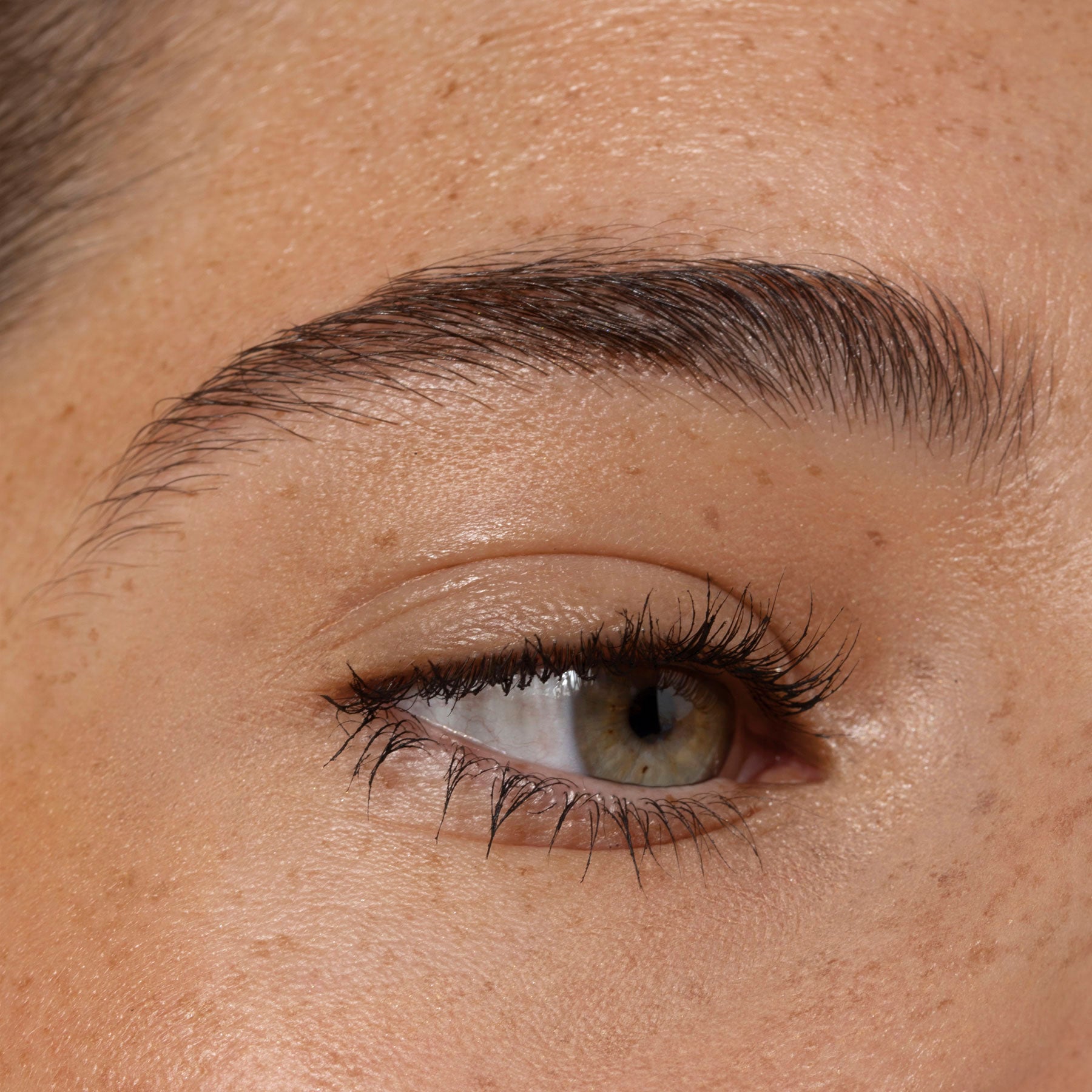 Aleph Beauty - Hybrid Eye Pigment - Meteorite