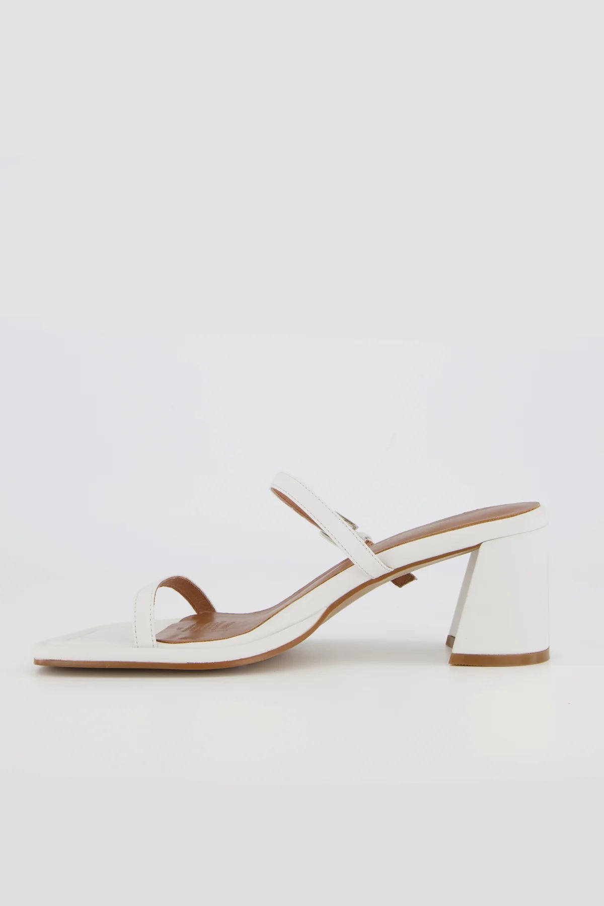 Bronwyn - Lucia - White Orchid