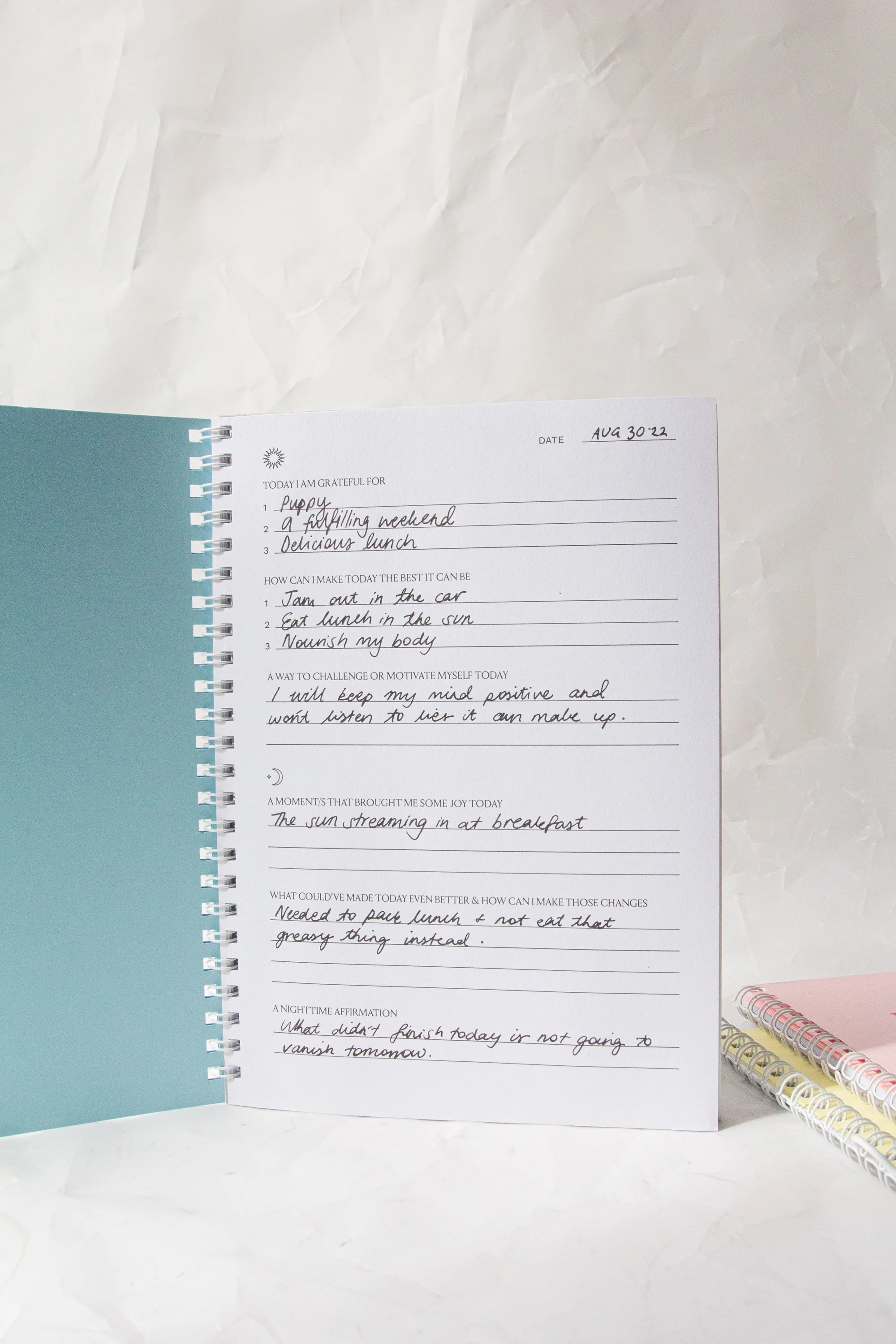 Crushes - Moments of Gratitude Notebook - Blue