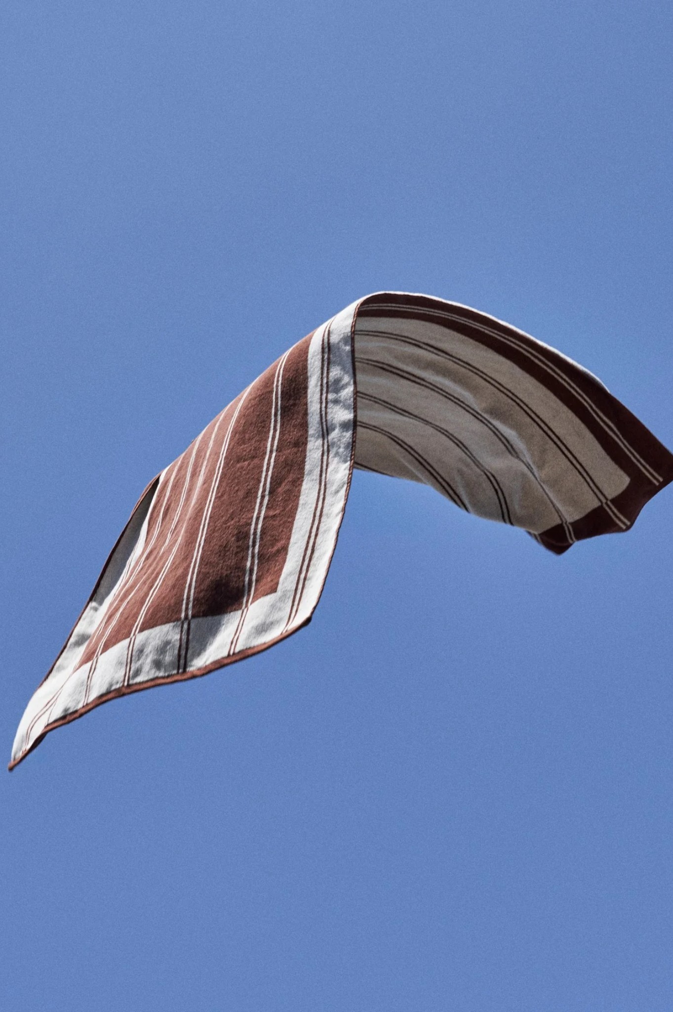 Shop Napoleon Goods - Twin Stripe Towel - Chocolate Brown