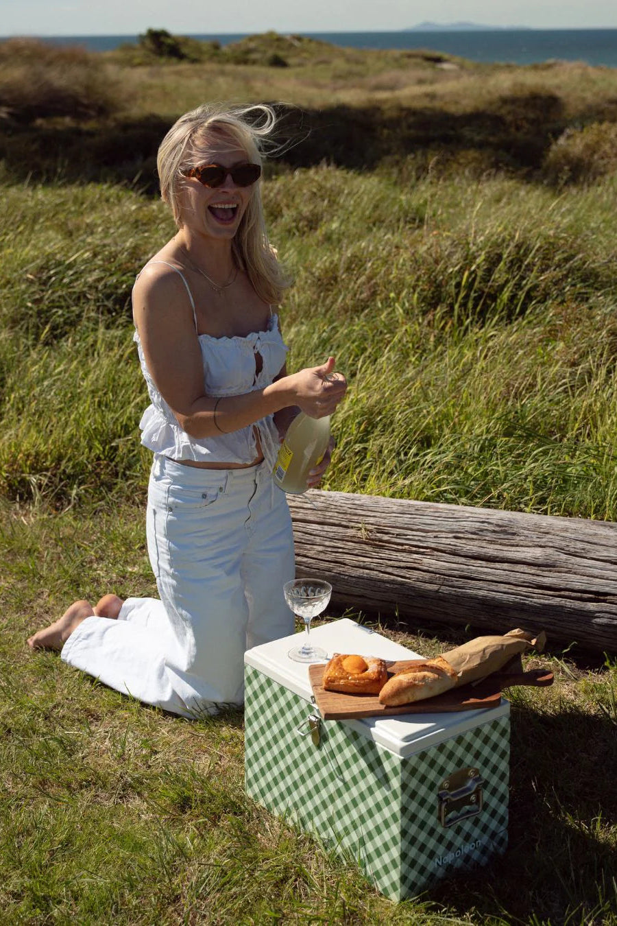 Napoleon Goods - Chilly Bin - Avocado Gingham