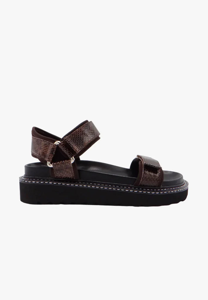 Caverley - Rony Sandal - Espresso Snake